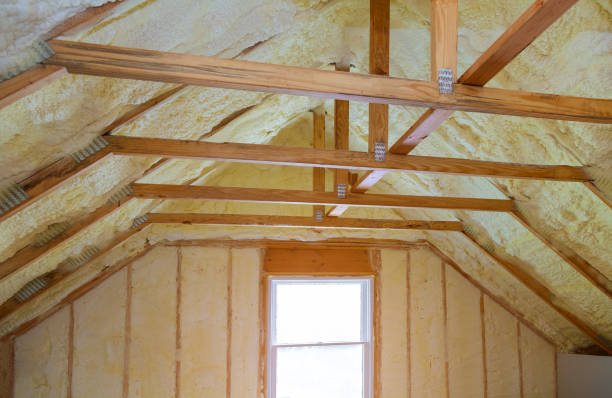 Best Residential Insulation in Royal Palm Estates, FL