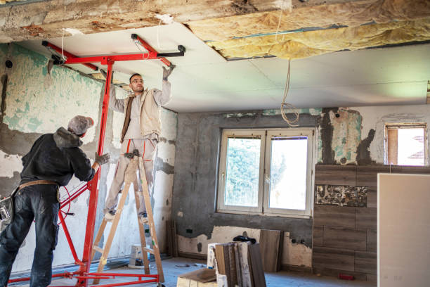 Professional Insulation Contractor in FL