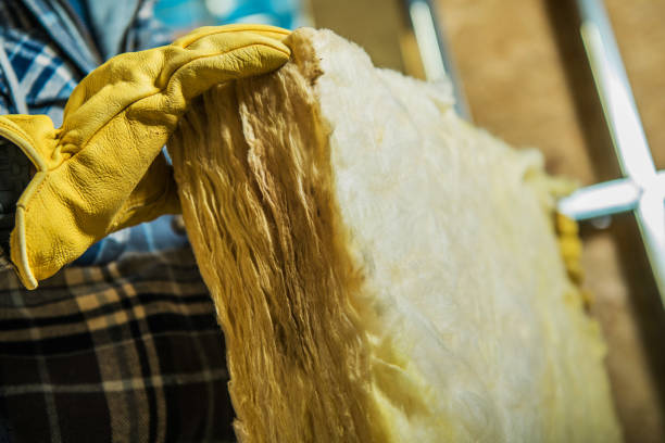 Best Insulation Maintenance and Repair in Royal Palm Estates, FL