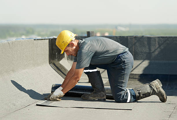 Best Commercial Insulation in Royal Palm Estates, FL